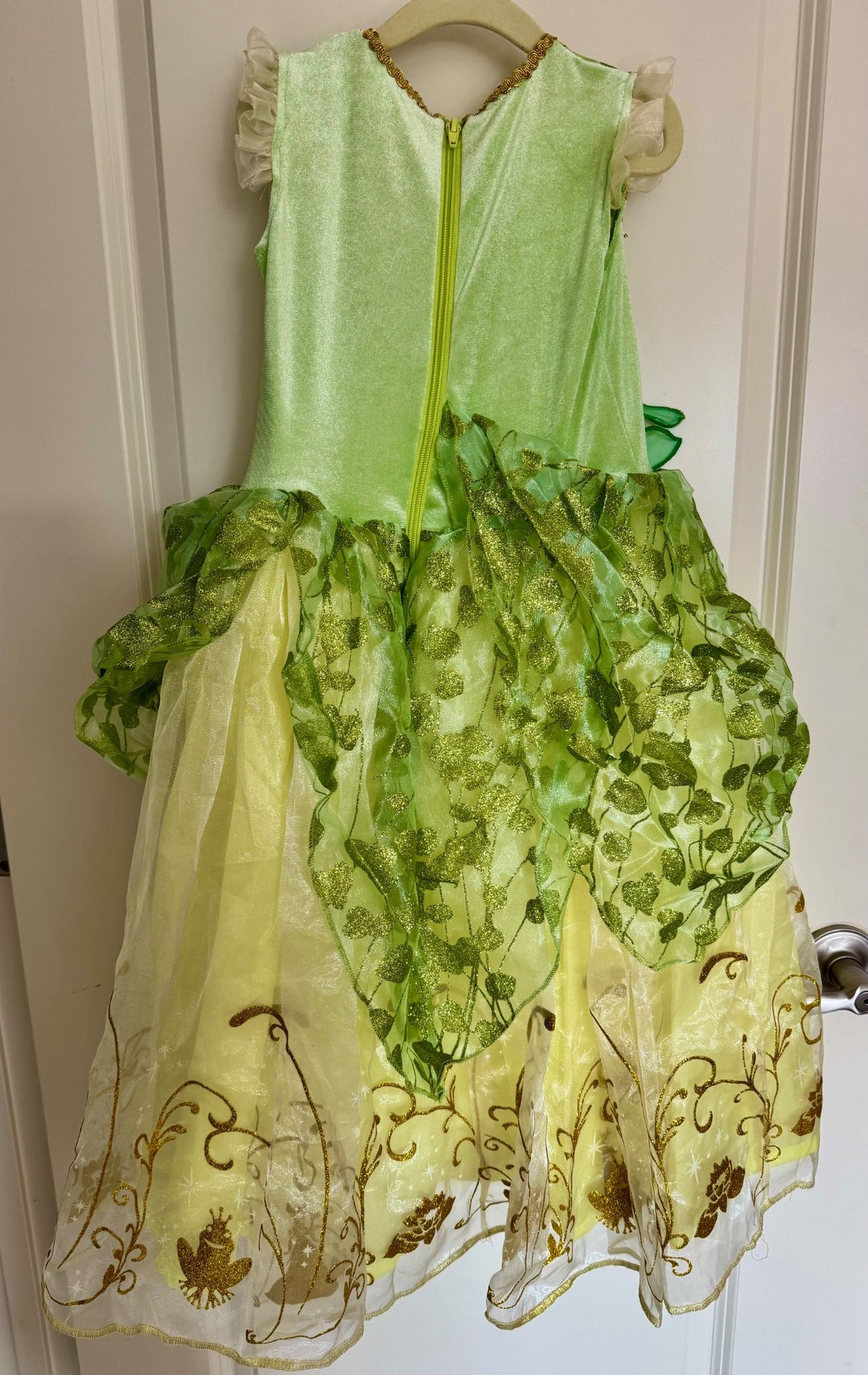 Disney Princess Costume: Tiana 3T, Kids 3T