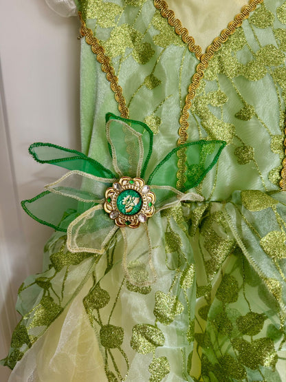 Disney Princess Costume: Tiana 3T, Kids 3T