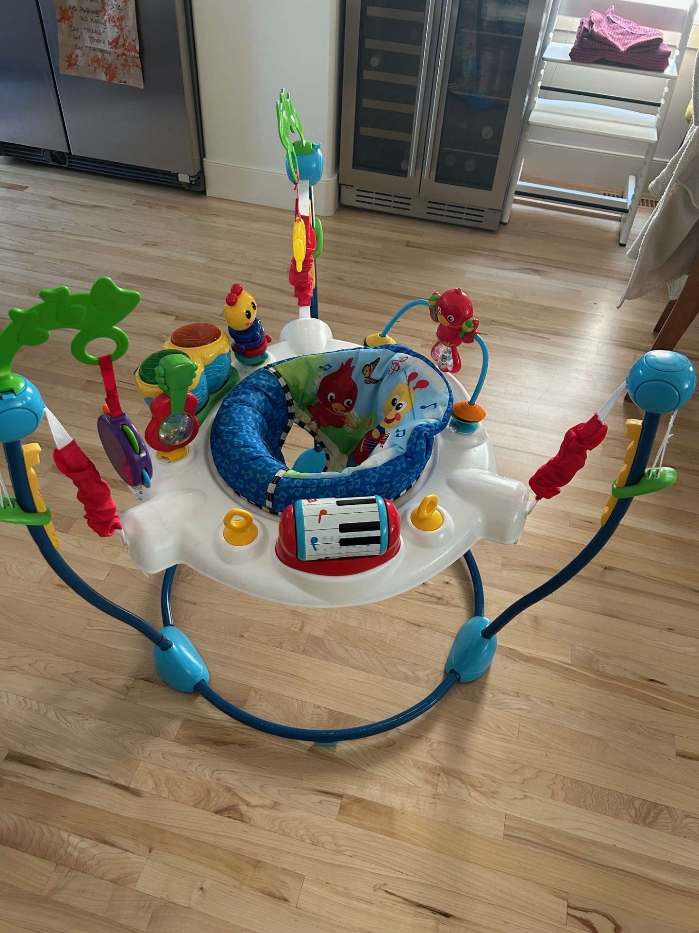 Baby Einstein Neighbourhood Symphony