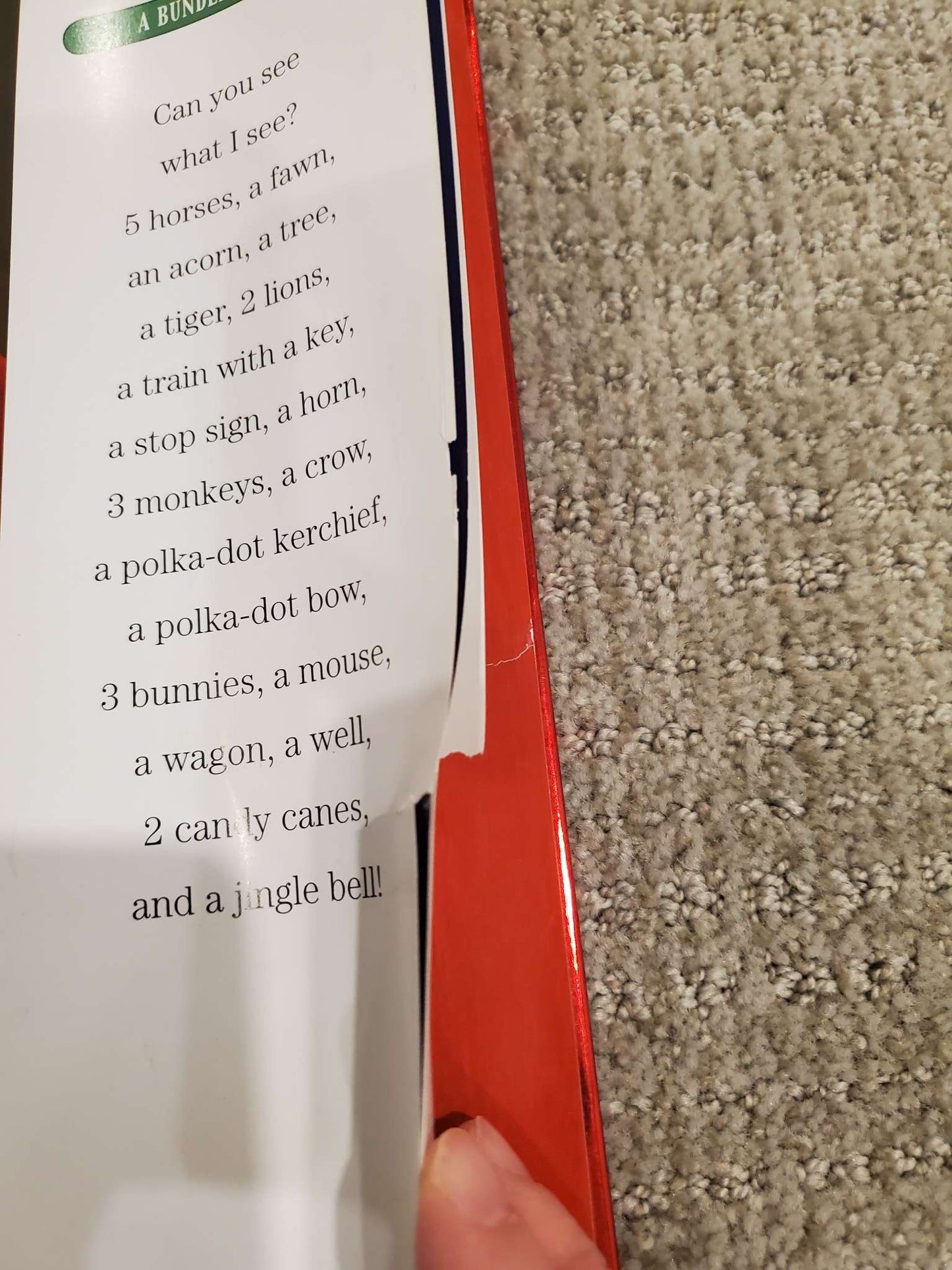 I Spy book - Can you see what I see? The Night Before Christmas