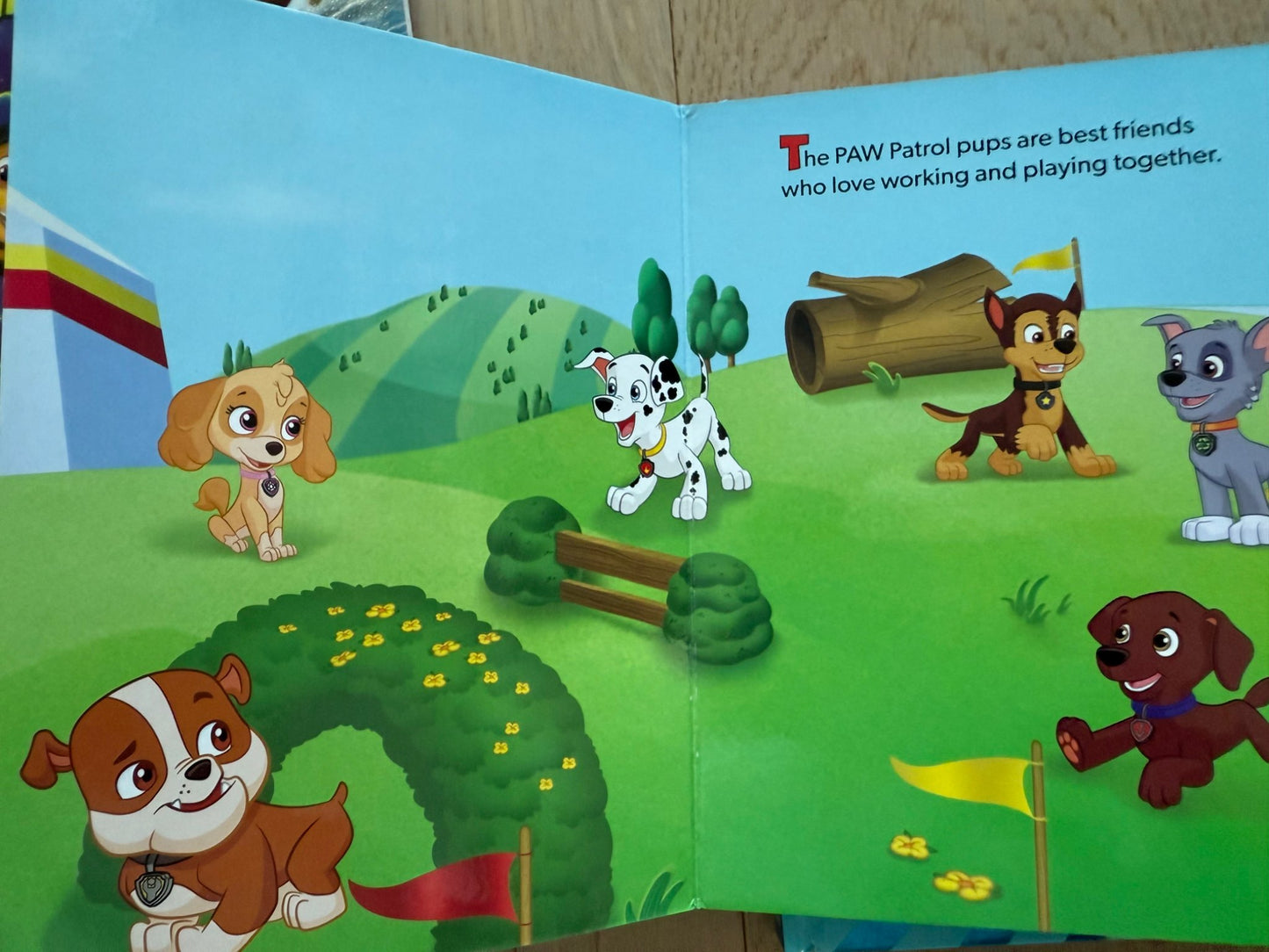 Paw Patrol books, 8 books in total, ages 3-5