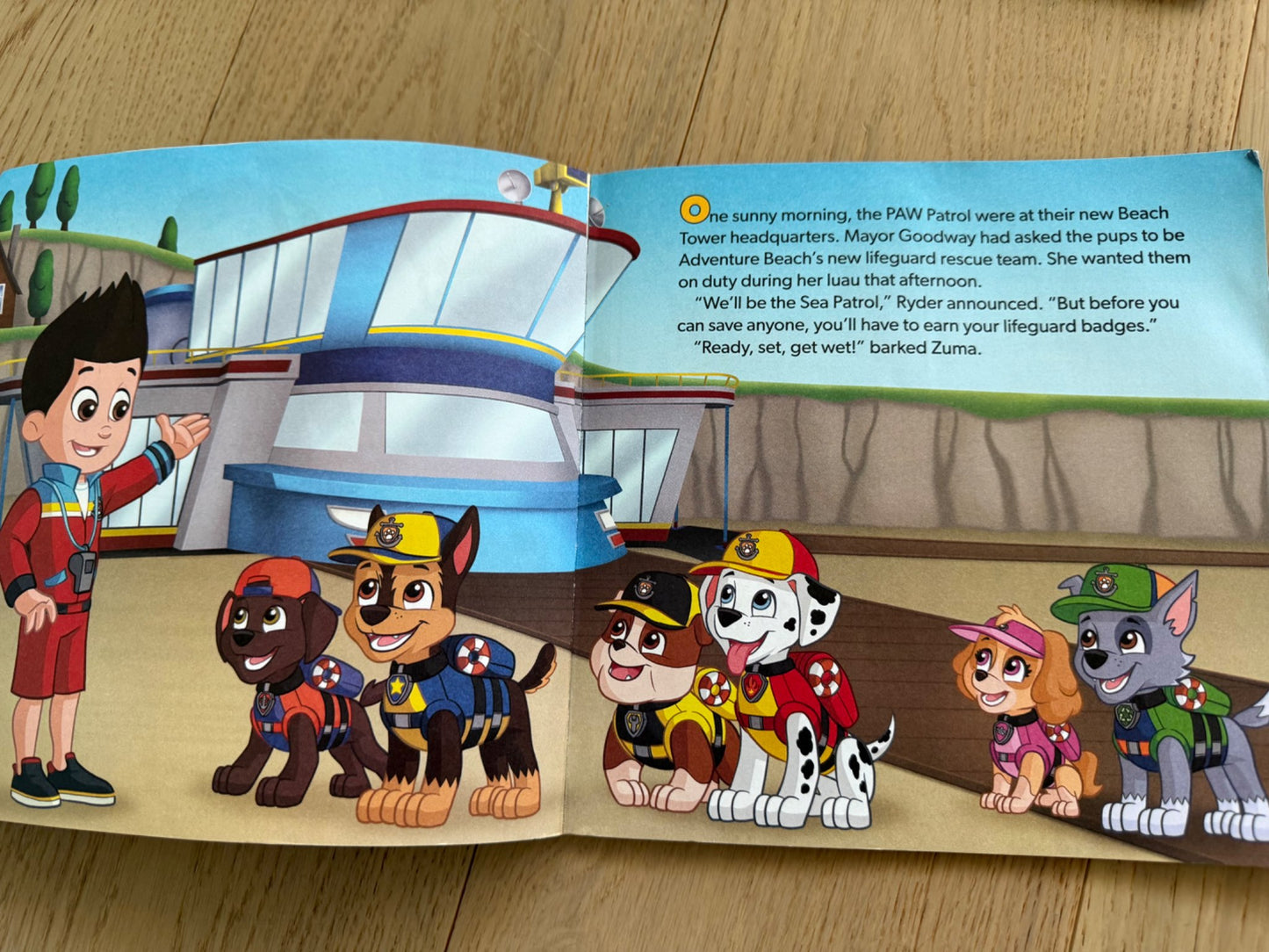 Paw Patrol books, 8 books in total, ages 3-5