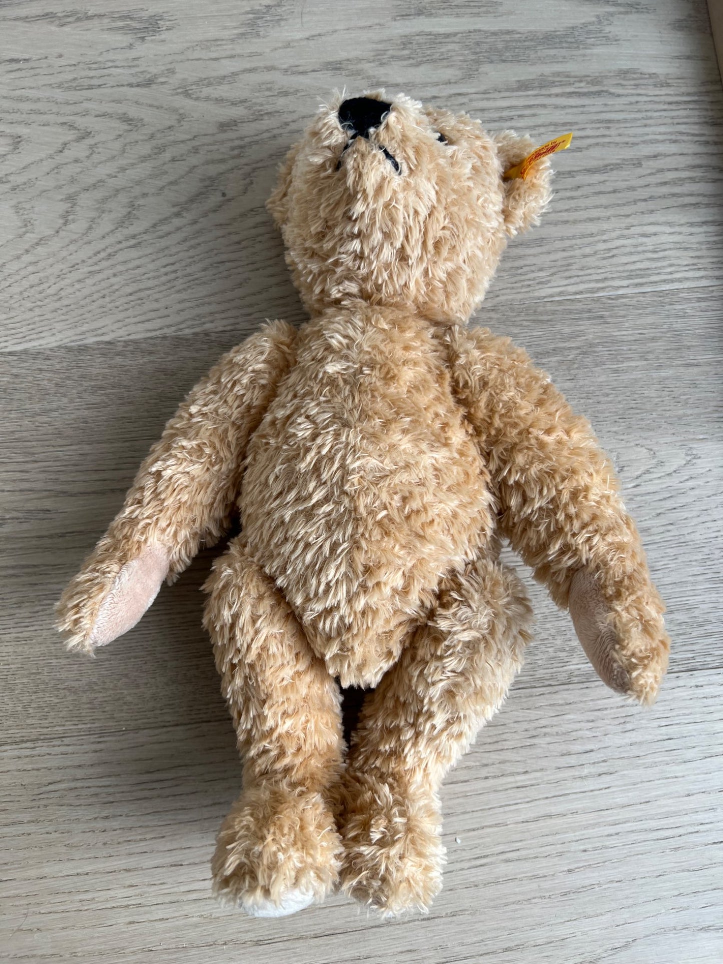 Steiff teddy bear