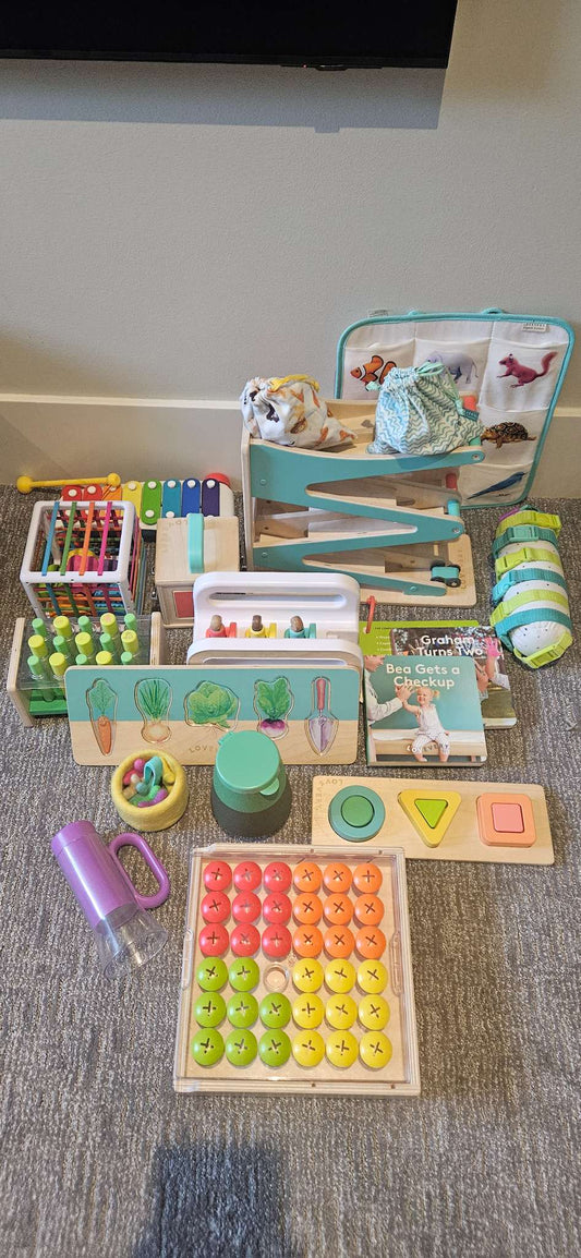 LOVEVERY toys - assorted