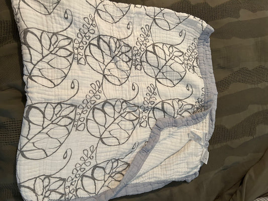 Aiden + Anais Baby blanket