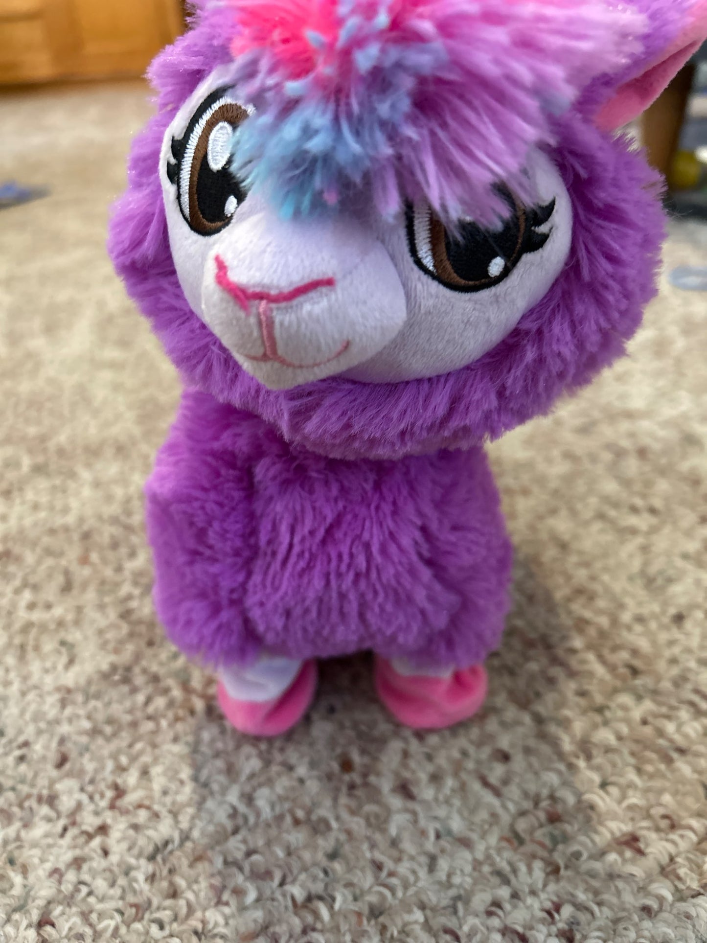Dancing llama