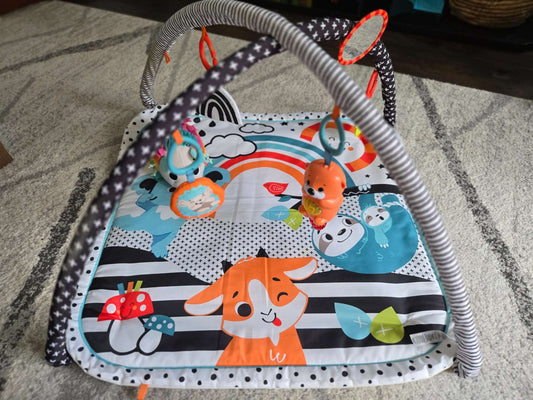 Fisher-Price 3-in-1 Music, Glow and Grow Gym and Cuddle ‘n Snuggle Hedgehog