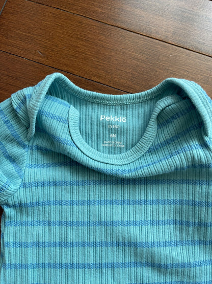 Dinosaur Overalls Set NWOT, Kids 6 Month (3-6M)