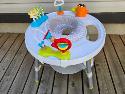 Skip Hop Play Activity Center