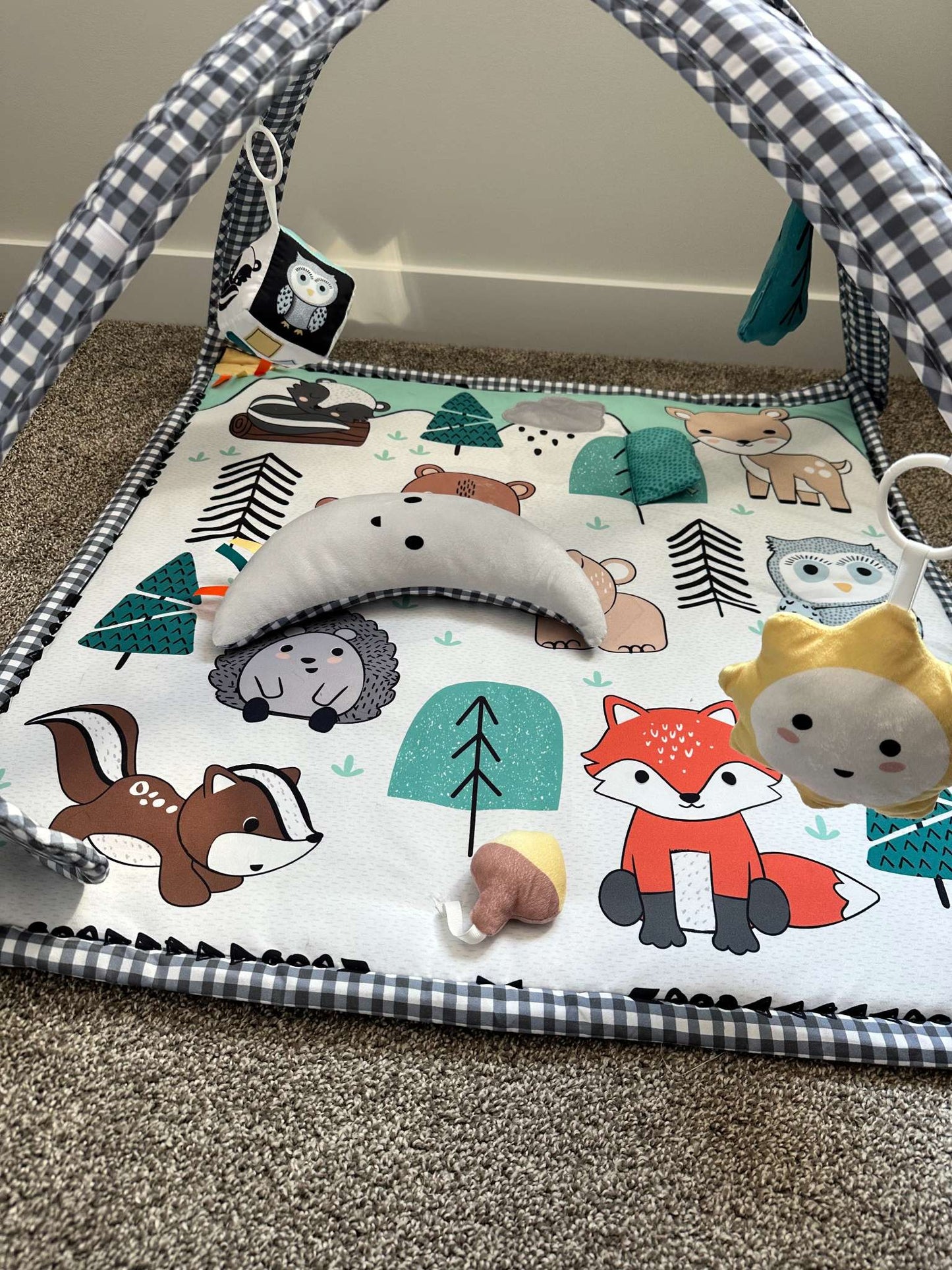 The PeanutShell Baby Play Gym