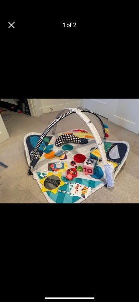 Baby Einstein Play Space Newborn to Toddler Discovery Gym and Play Mat
