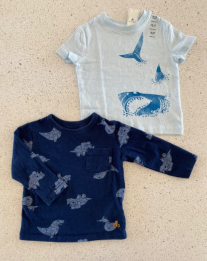 GapShark (*New*) & Dinosaur Shirts (12-18 month) , Kids 18 Month (12-18M)