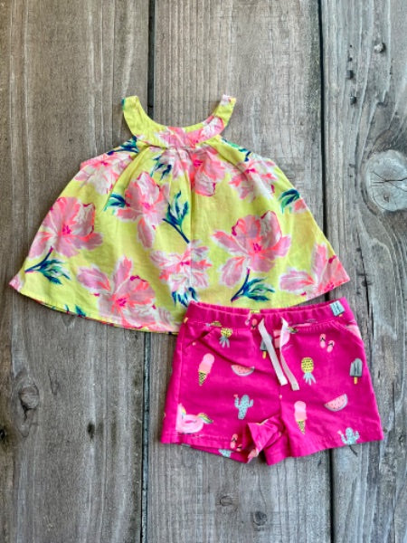 Osh Kosh size 3 girls summer top and Carter’s size 4 shorts, Kids 3T