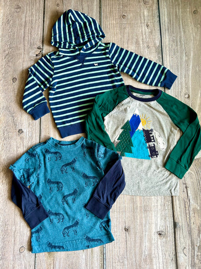 Gymboree Carter’s size 4T boys long sleeve tops bundle, wolves, train, and stripes themed, Kids 4/4T