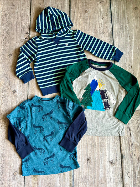 Gymboree Carter’s size 4T boys long sleeve tops bundle, wolves, train, and stripes themed, Kids 4/4T