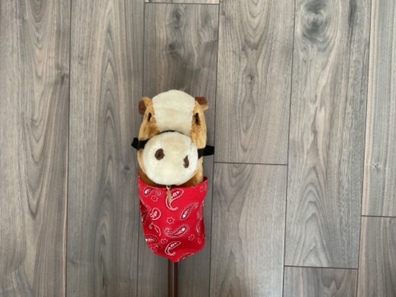 Hobby Horse