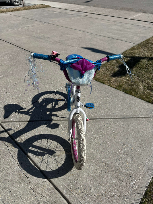 Frozen Bike - 18"