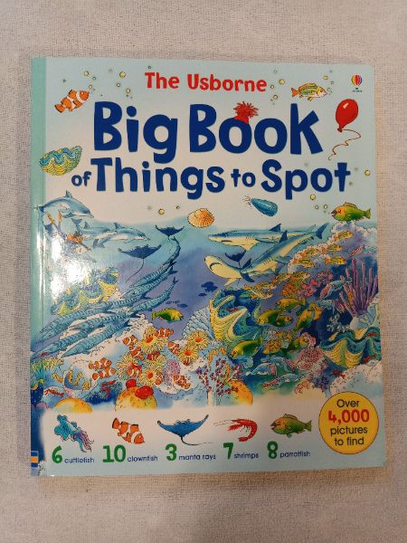 Usborne - Big Book of Things to Spot