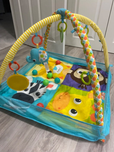 Bright Starts Playmat Ball Pit