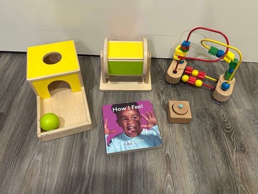 Lovevery and Melissa & Doug Bundle (5-8 months)