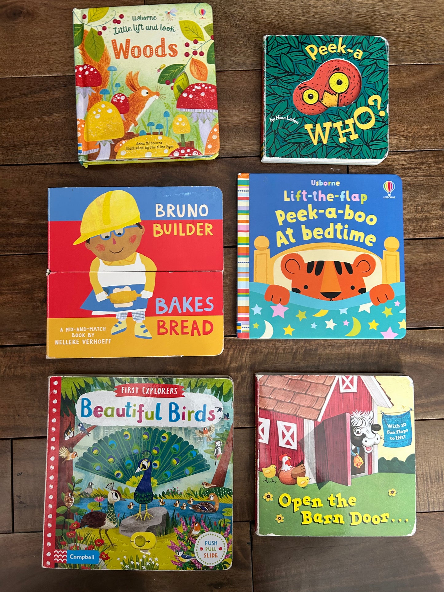 Books with flaps / pulls