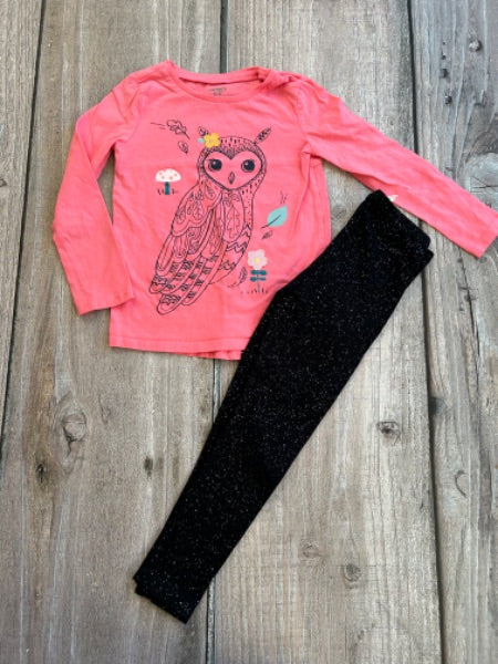 Carter’s size 5 girls owl top and H&M size 4-5 sparkly leggings, Kids 5/5T (extra small)