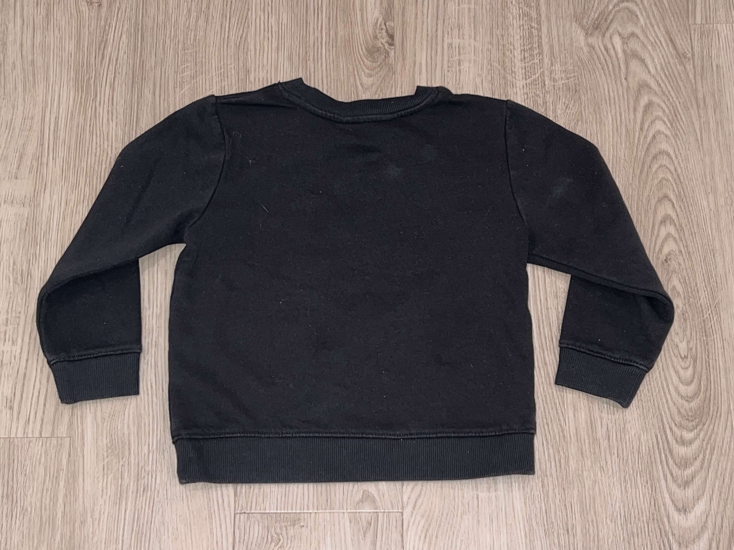 Boys Dinosaur Head “Roooar!” Crewneck Sweatshirt from H&M, size 4-6y (5T), Very Good Used Condition (VGUC), Kids 5/5T