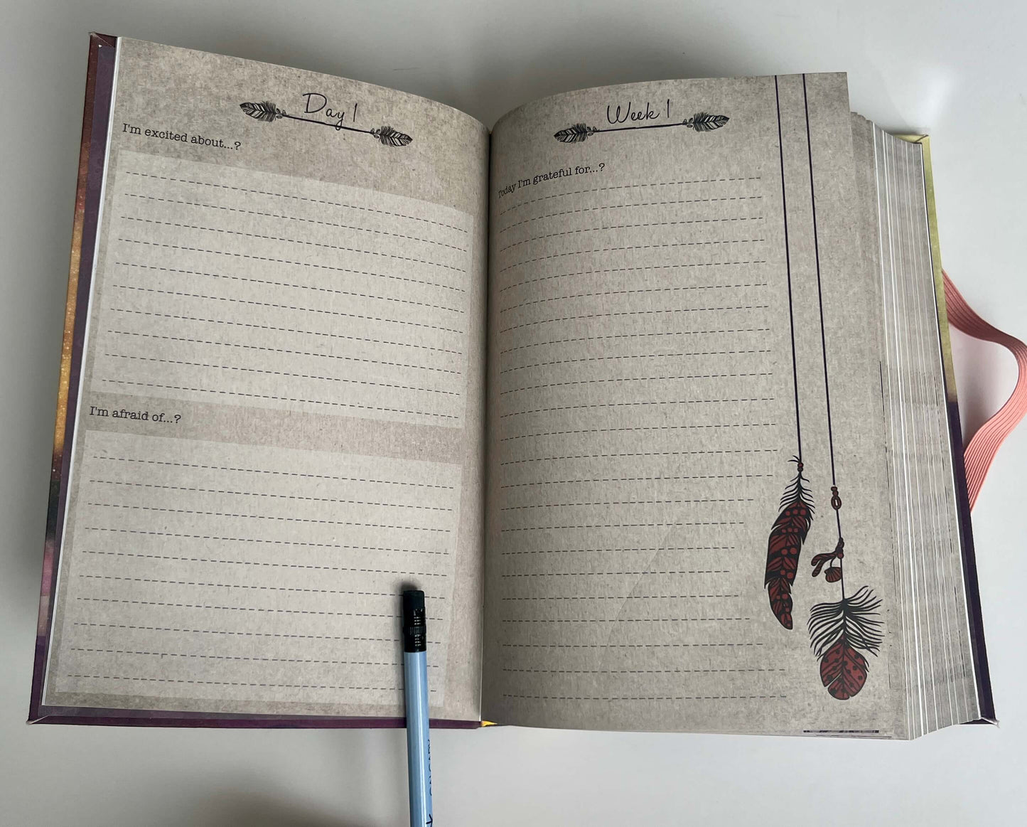 BRAND NEW Pregnancy Journal - MRSP: $39.95 (4 of total 10)
