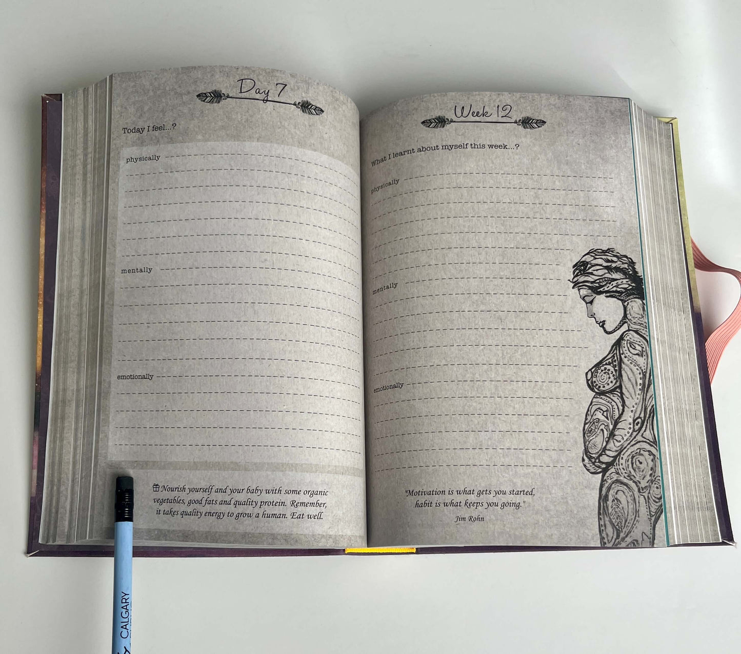 BRAND NEW Pregnancy Journal - MRSP: $39.95 (7 of total 10)