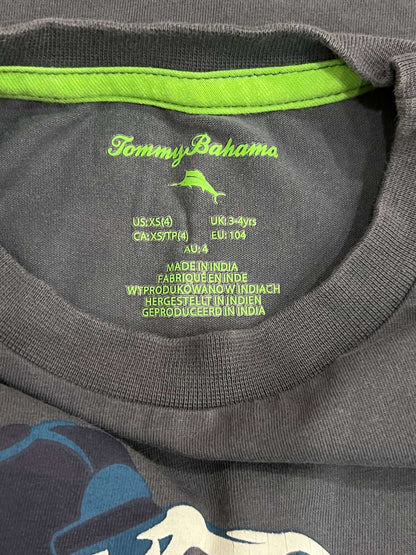 Boys Dinosaur skateboarding T-shirt size XS (4) from Tommy Bahamas matched with blue athletic shorts from The Children's Place (TCP) size 4T, VGUC, Kids 4/4T