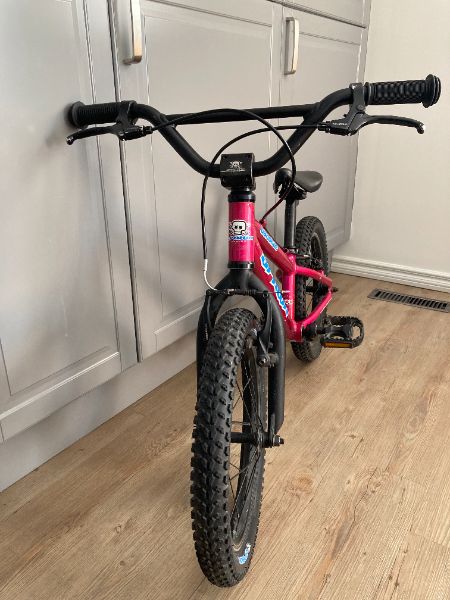 16" Spawn Banshee Bright Pink Bike, $600