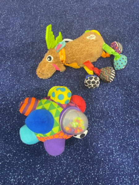 Baby toys - Moose and sensory ball