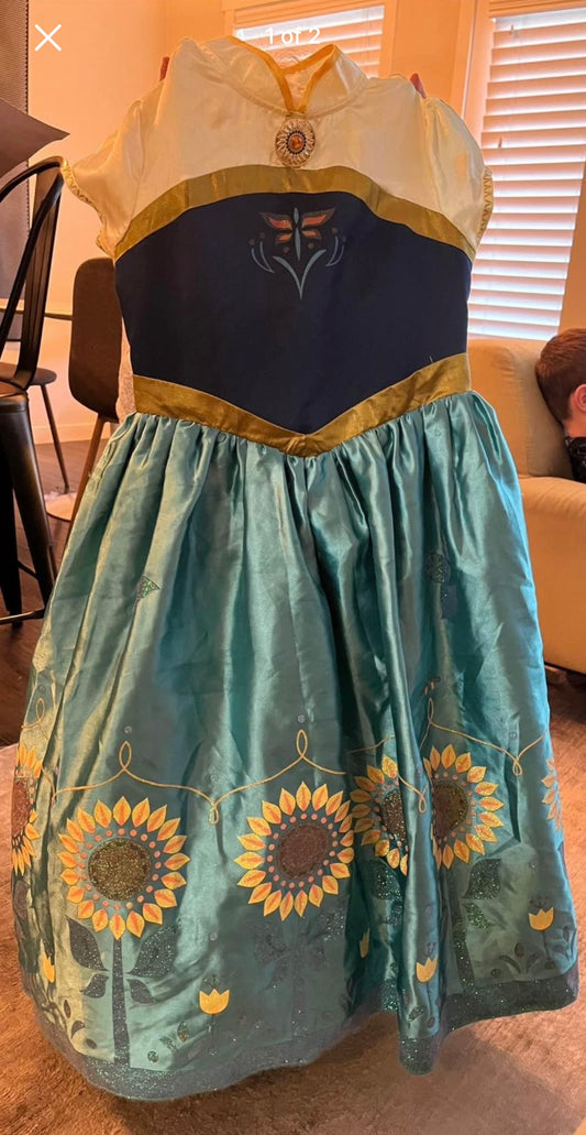 Anna Dress/Halloween Costume, Kids 10 (medium)