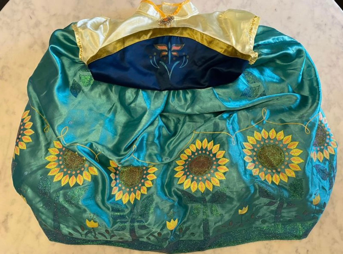 Anna Dress/Halloween Costume, Kids 10 (medium)