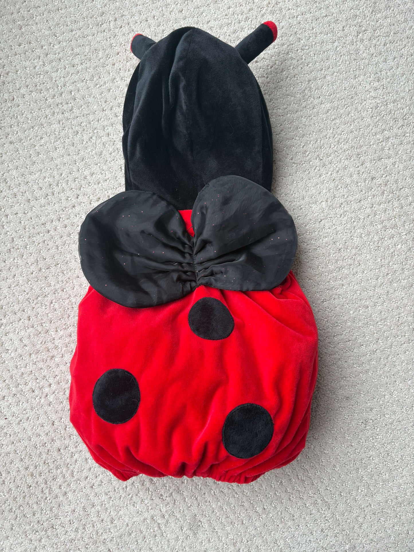 Fun of a Kind - lady bug 🐞 costume, 12m, Kids 12 Month (9-12M)