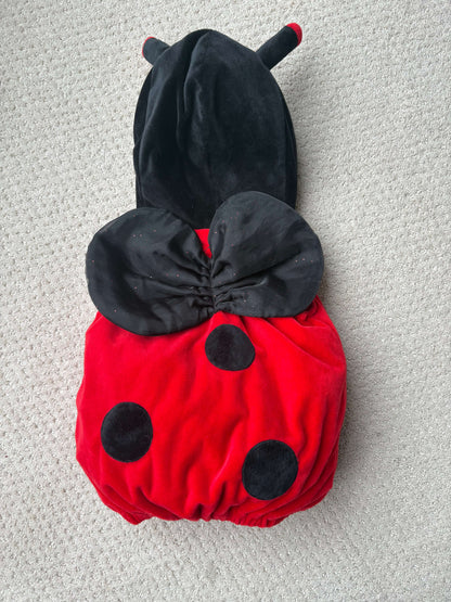 Fun of a Kind - lady bug 🐞 costume, 12m, Kids 12 Month (9-12M)