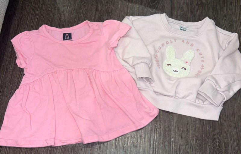 Girls - 2T tops bundle , Kids 2T