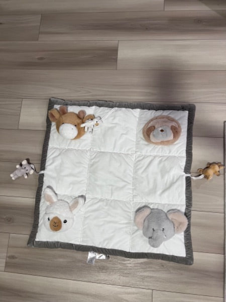 Play Mat,Retail $85