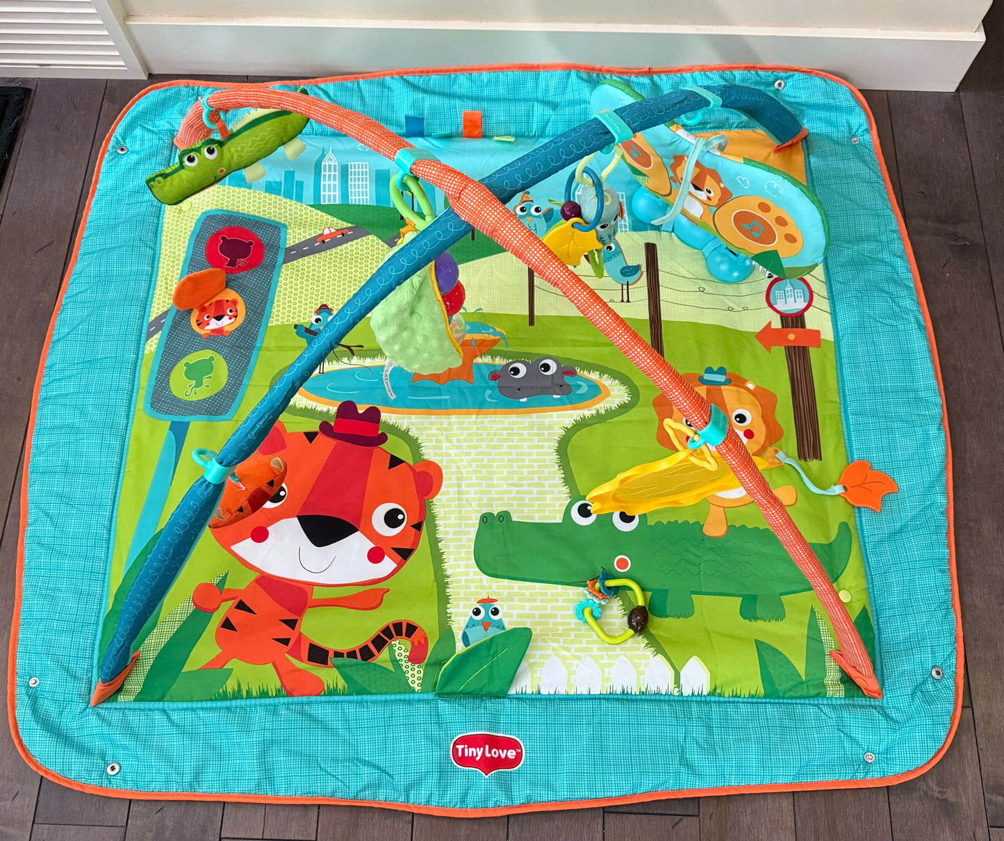 Tiny Love Play Mat