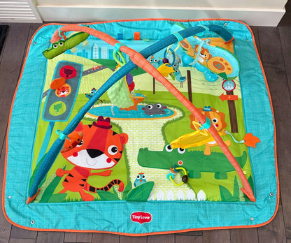 Tiny Love Play Mat