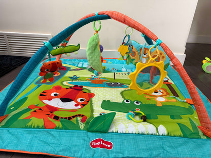 Tiny Love Play Mat
