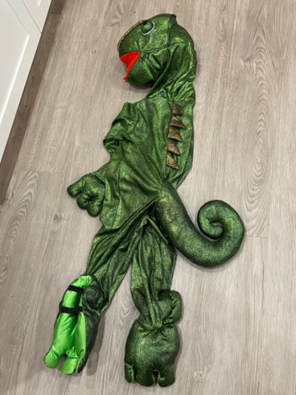 EUC, Chameleon Halloween Costume, Size 3T, Kids 3T