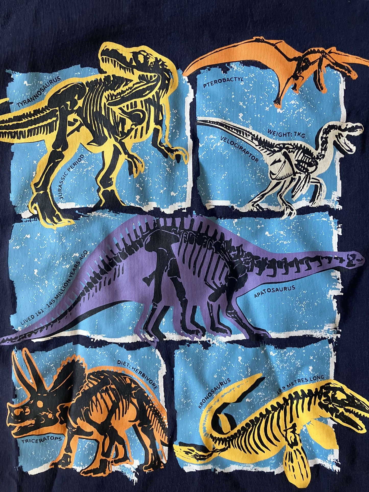 Dinosaur T-shirt - navy- Mountain Warehouse brand , Kids 7