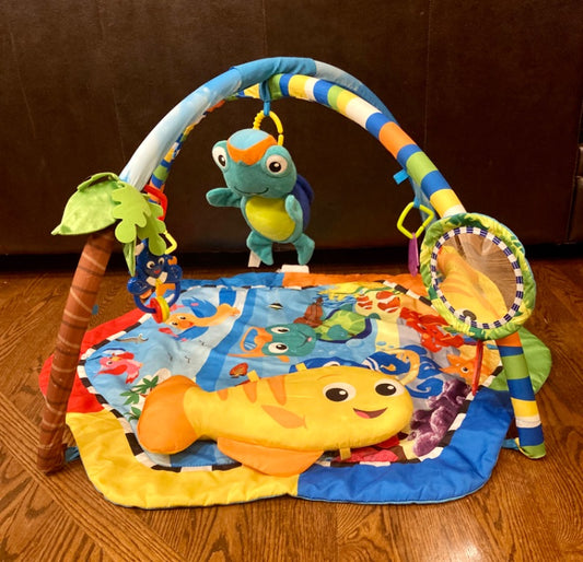 Baby Play Gym