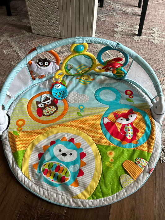 Skip Hop Activity Mat