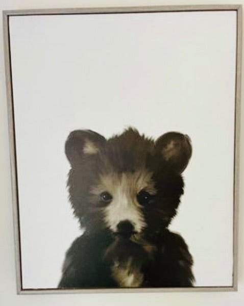 Baby Bear Framed Canvas