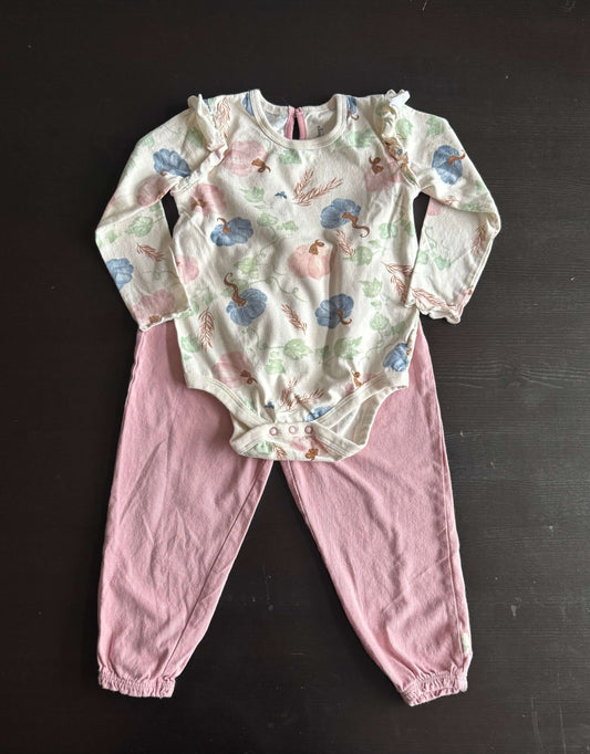 Burt’s Bees Baby Fall pumpkin outfit , Kids 18 Month (12-18M)