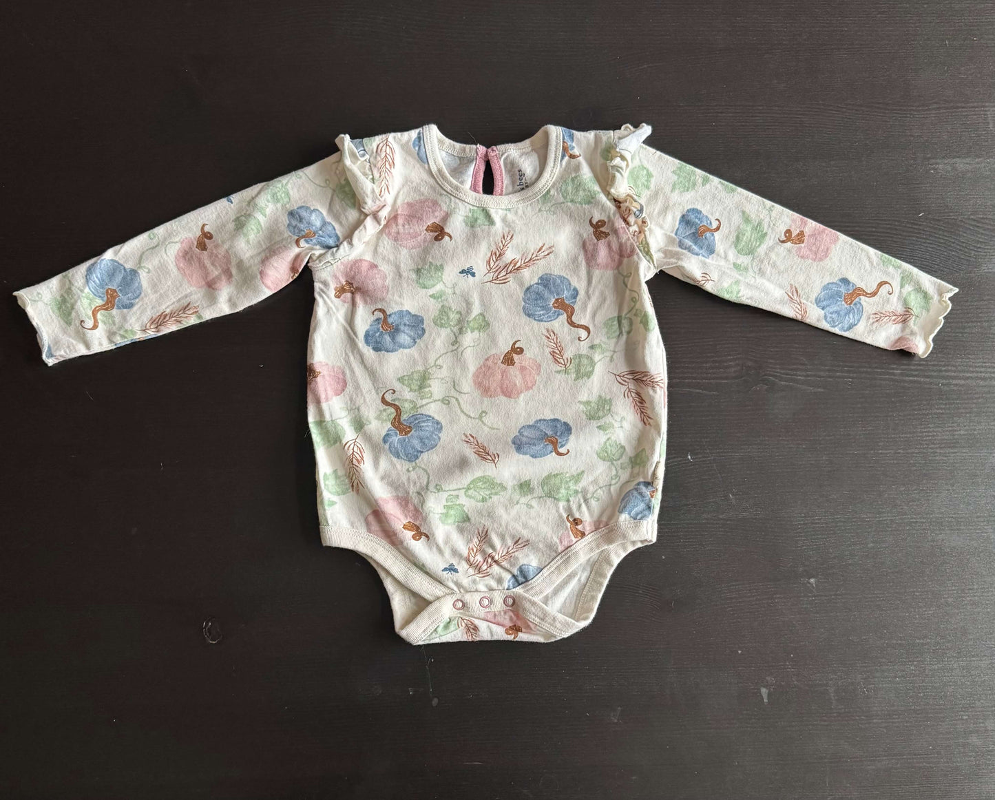Burt’s Bees Baby Fall pumpkin outfit , Kids 18 Month (12-18M)