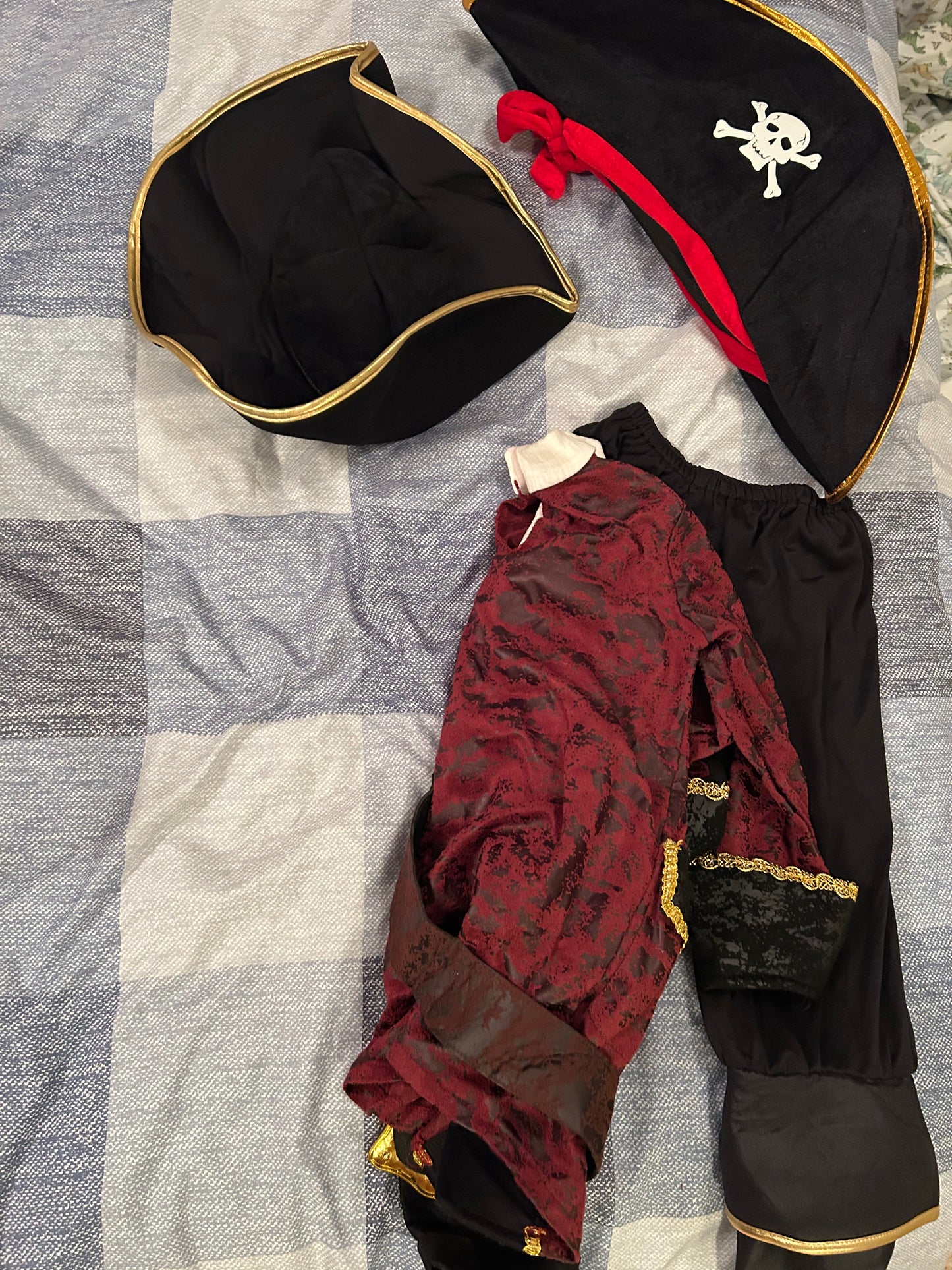 Family costume bundle- pirates , Kids 4/4T