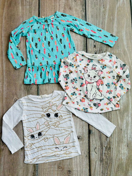 H&M size 2-4yrs and Osh Kosh size 2T girls bundle of 3 tops, bunnies, floral Disney Marie, feathers, Kids 2T